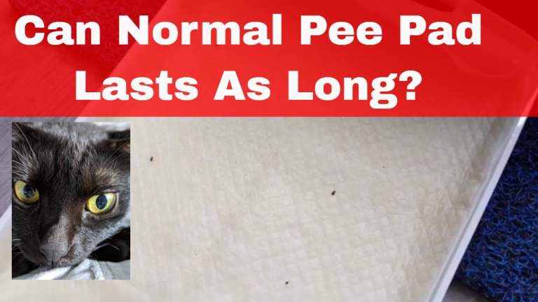 UniCharm Litter Box Evaluation (最新の日本技術 Newest Innovation From Japan) – The Length Of Time A Typical Pee Pad Last?