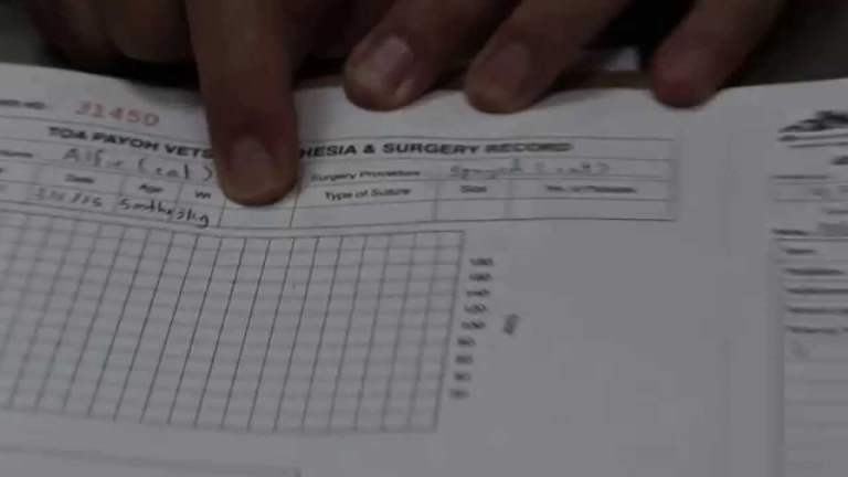 Anaesthetic and Surgical Record