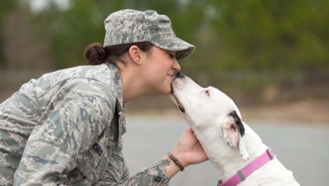 Flying Force Sergeant Seeks to Adopt Stray Dog She Befriended Throughout Release
