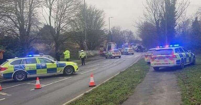Guy in high-speed crash that killed lady and dog ‘might currently have actually been dead’