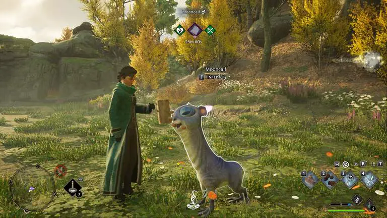 Are there Hogwarts Legacy animals that you can capture and have fun with?