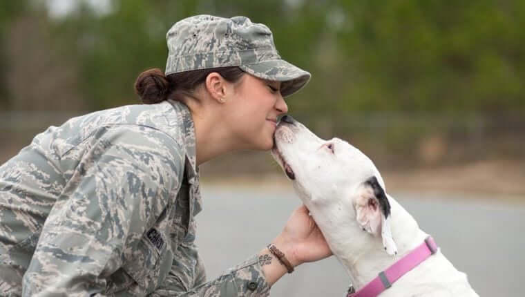 Flying Force Sergeant Seeks to Adopt Stray Dog From Release