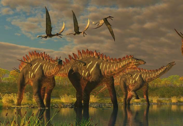 How did birds survive whereas dinosaurs went extinct?