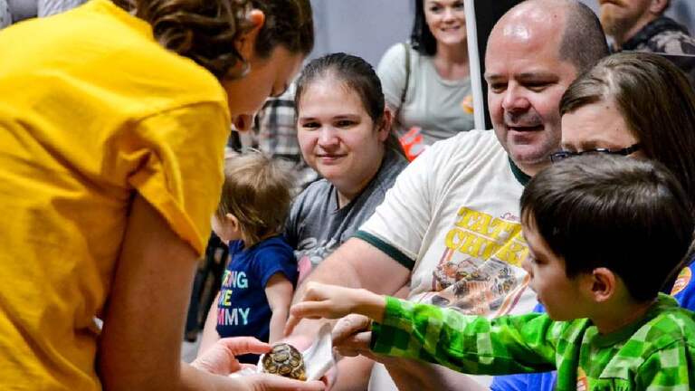 Lizards, tortoises and snakes, oh my! Southern Utah reptile professional shares interest, education