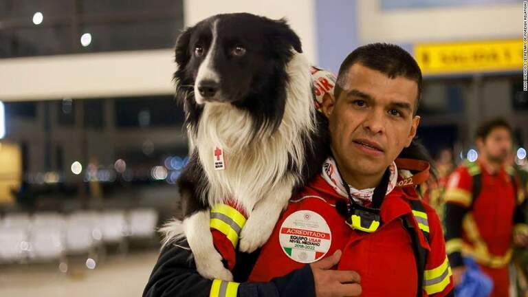 Mexico sends its precious search and rescue dogs to Turkey