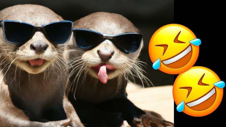 Otters Funny Video|Amusing Animal Videos 2023 