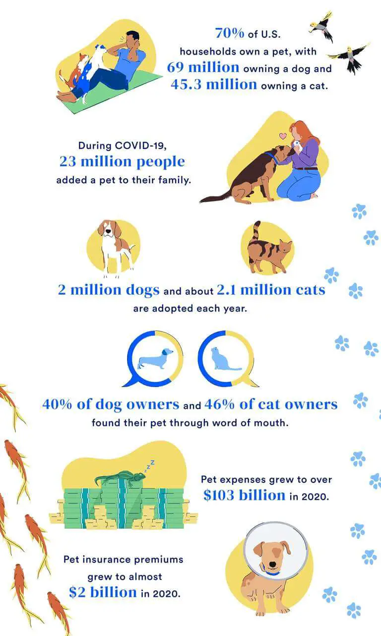Pet Ownership Facts and Statistics in 2022