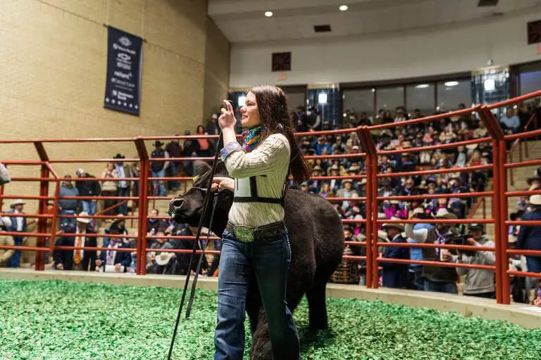 Snoop Dog shatters record at Fort Worth Stock Program Sale of Champions