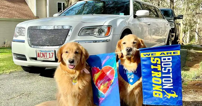 Spencer the Boston Marathon dog’s owners reveal death of 2nd golden retriever
