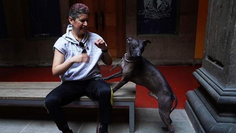 Dog owners promote Xolos’ commitment and spiritual underworld history