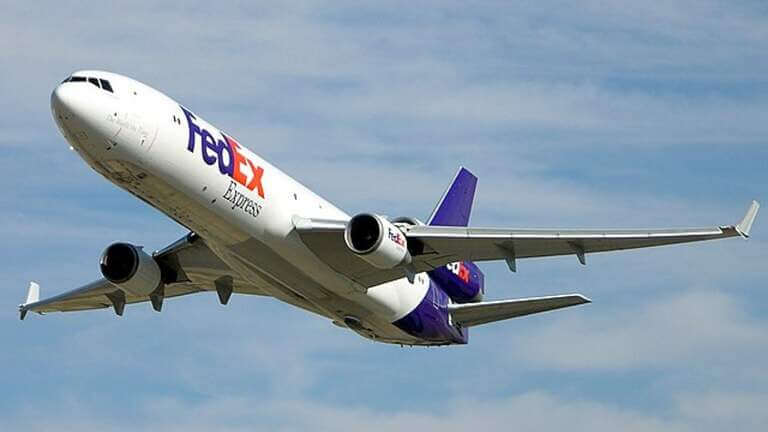 A Bird Hit Dubai-Bound FedEx Flight In Delhi Airport. Authorities Declare Full Emergency