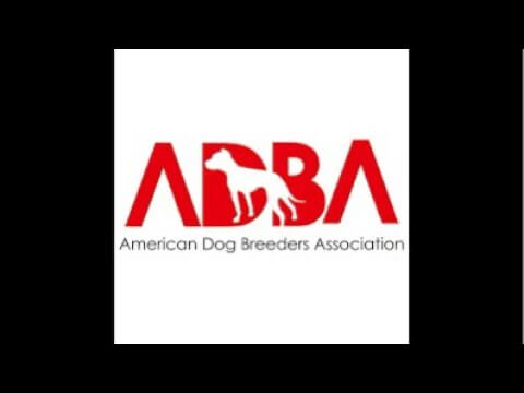 American Dogs Breeders Association